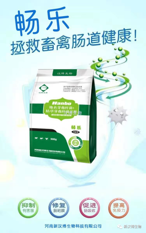 飼料禁抗后，斷奶仔豬腹瀉問題將更為嚴重，養(yǎng)豬人如何應對